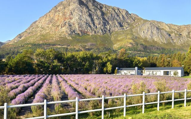 Lavender Farm Guest House