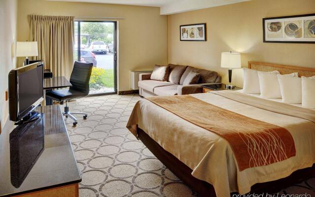 Comfort Inn Waterloo