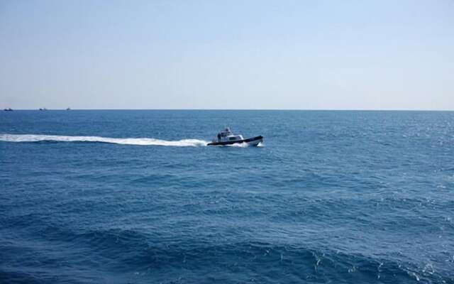 Palace in the Forest Pension