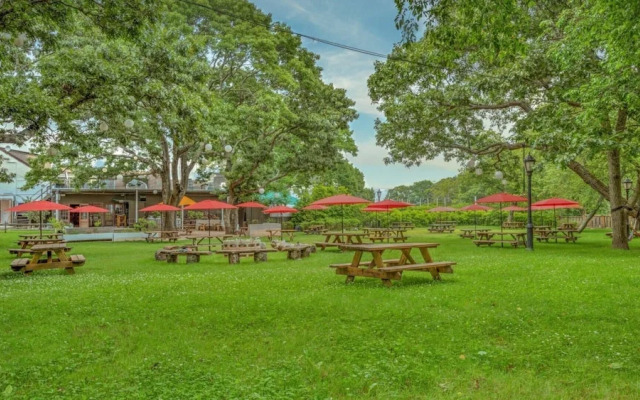 Ruschmeyers #15 - Dlx Queen