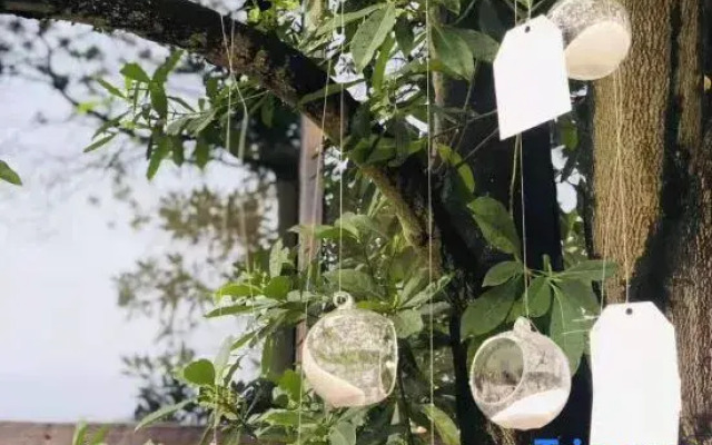 Nanlu Forest Resort Hotel (Chongqing Nanshan Scenic Area Branch)