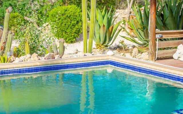 ◥ Caribbean Oasis with Tropical Garden & Pool ◤