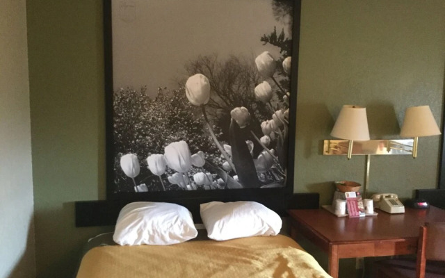 Super 8 Youngstown Austintown