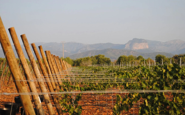 Weingut & Landhotel Can Davero