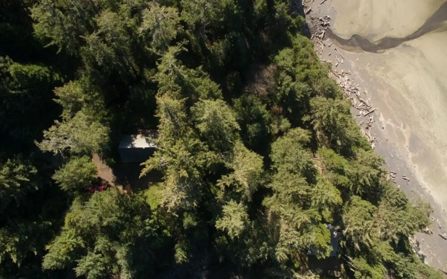The Cedar House