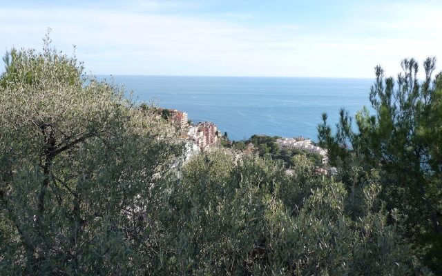 Grande piscine a debordement vue mer