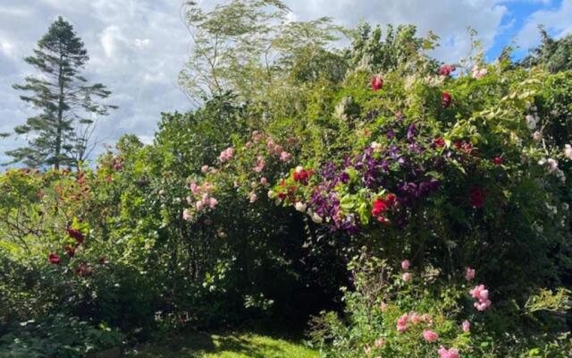 Mysigt gästhus med cykelavstånd till havet!