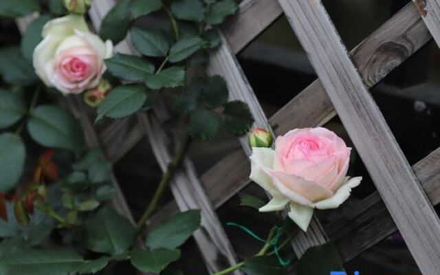 Yongzhou Xiju Characteristic Homestay