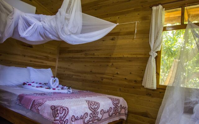 Fullmoon Camp