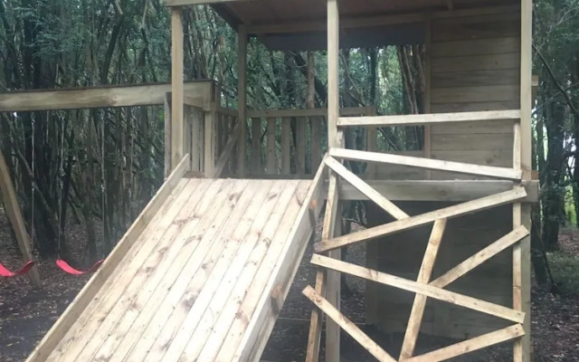 Cabanas Ensenada Bosque Nativo