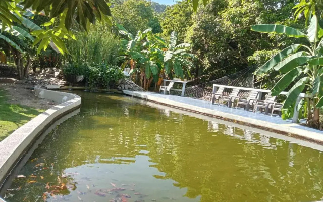 Finca Los Mangos