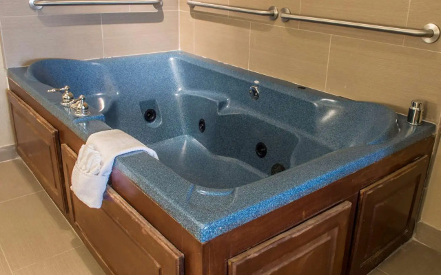 Comfort Inn Edinburg South