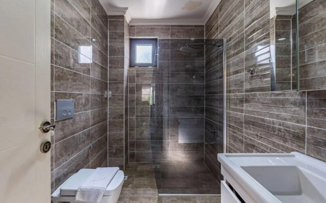 Duplex Villa With Pool and Garden in Sapanca