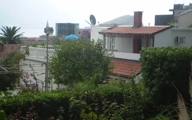 Zenovic House
