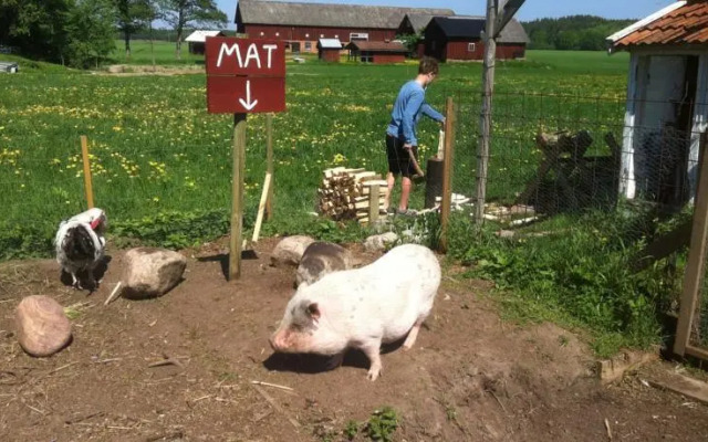 Äventyrsgårdens Vandrarhem, Kinnekulle