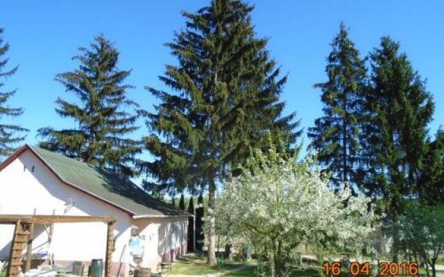Hungarian Country Camping - Tranquil Pines Camping and Caravan Site
