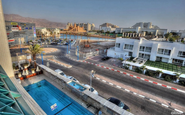 Brown Eilat