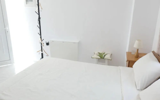 Valentina Central Studio