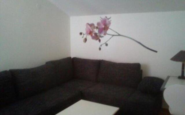 Apartment Zelenčić