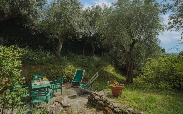 San Remigio Massa in Massa