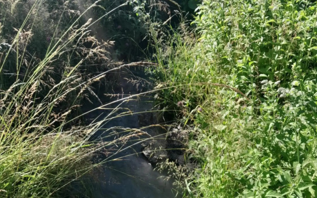 Waterfall in the yard