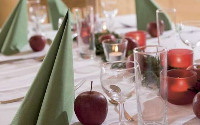 JUFA Hotel Donnersbachwald