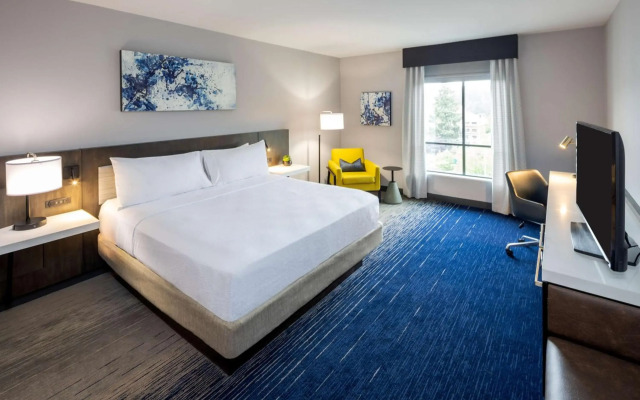 Hilton Garden Inn Redmond Seattle