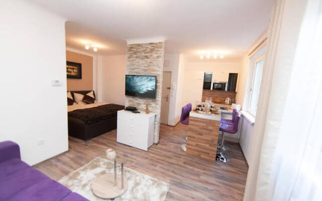 Traditional Apartments Vienna Tav - Design