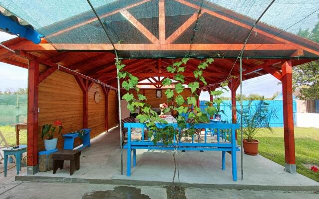 Casa NICHIFOR Jurilovca