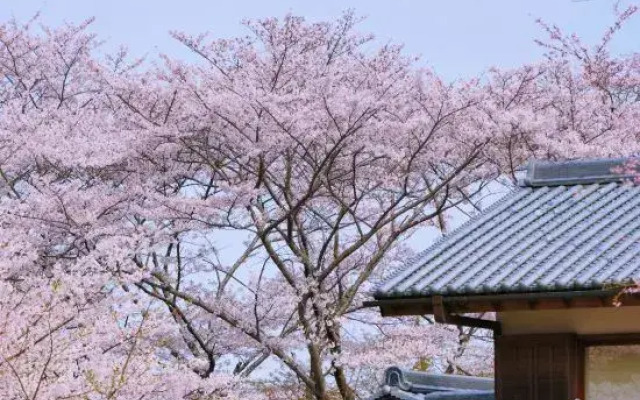 Oukai Villa Izumi