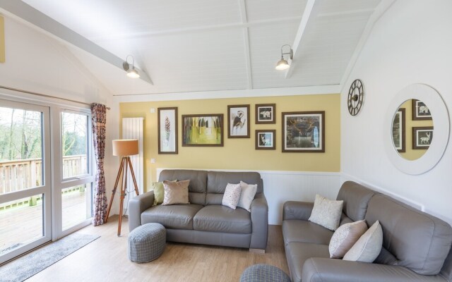 Squirrel Lodge 41 with Hot Tub, Newton Stewart