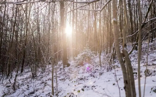 Capacious Holiday Home in Membre With Garden - фото 3