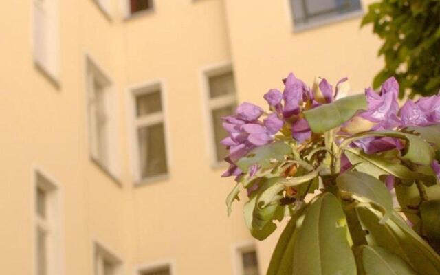 Old Town Apartments Schönhauser Allee Berlin