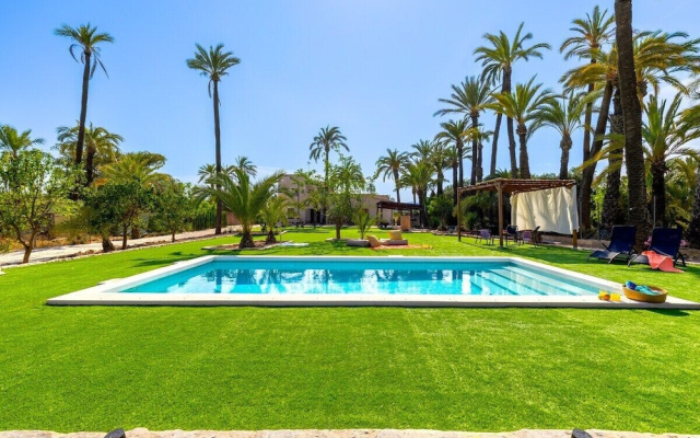 Historical Palms by Fidalsa