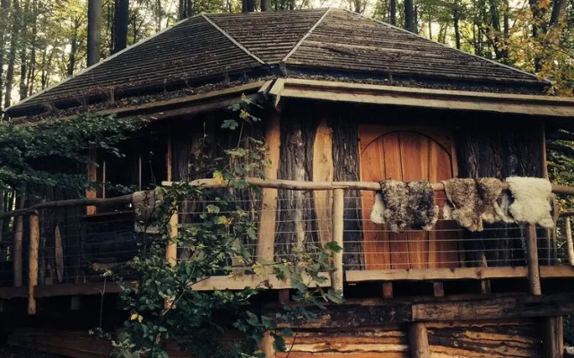 Robins Nest Baumhaushotel