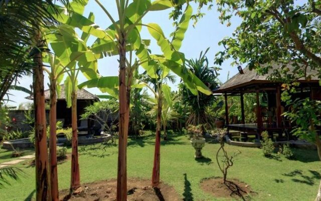 Sawah Lovina