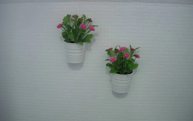 T1 Fernão Magalhães