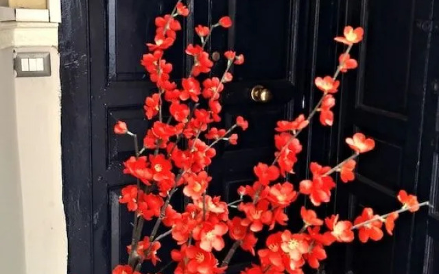 Port Village Vesuvius