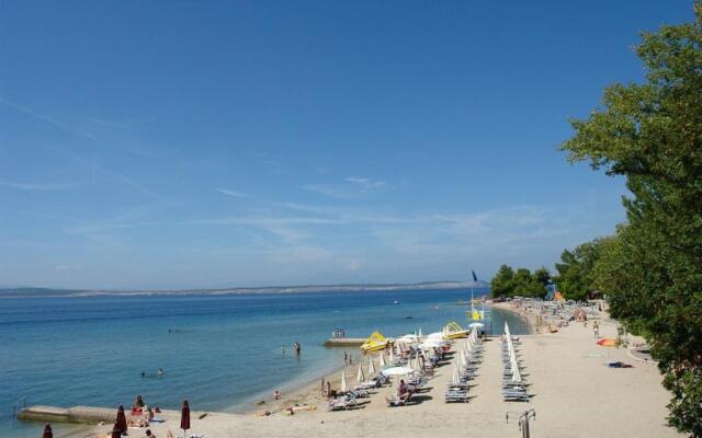 Apartments 30 m from the beach