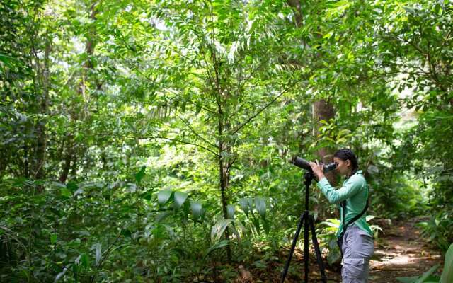 Chachagua Rainforest Hotel & Hot Springs