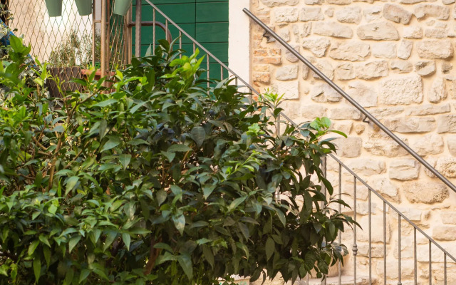 Carrara Accommodation