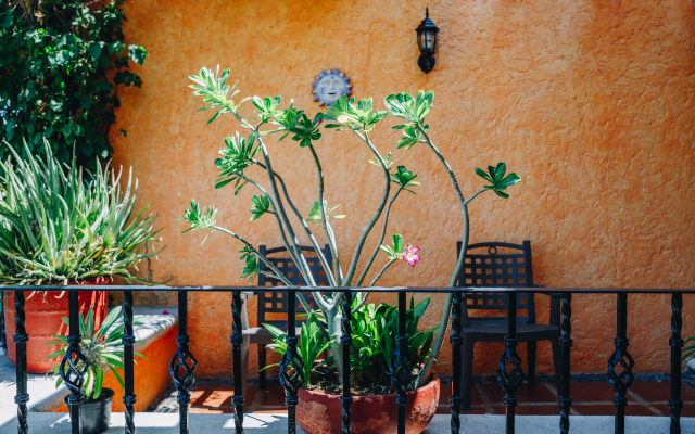 Hotel Lunata - Near Playa del Carmen Main Beach