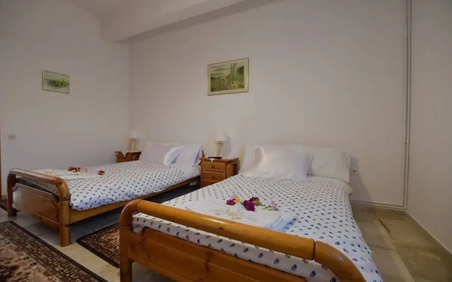 Relaxing experiences near Ancient Olympia