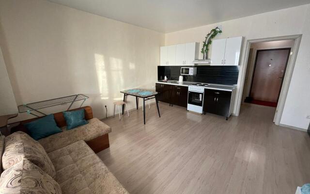 Апартаменты Домино на улице Анны Коньковой