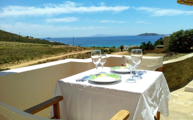 Andros Luxury House
