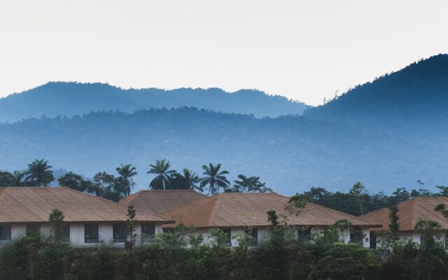 Monkeys Canopy Resort