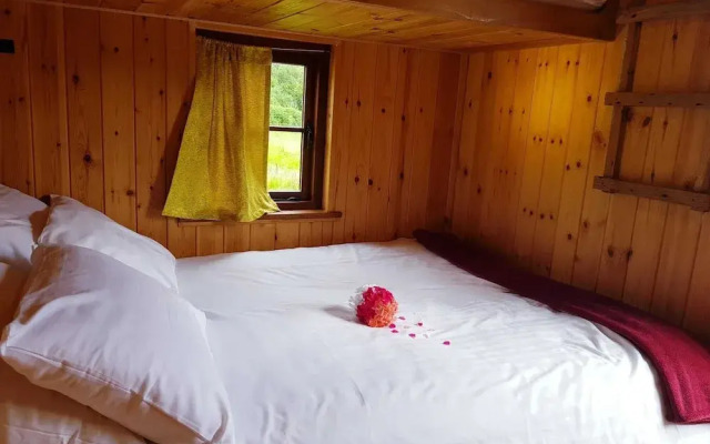 Foxglove Holiday Private Eco Accommodation
