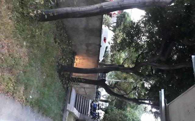 Apartment Marino