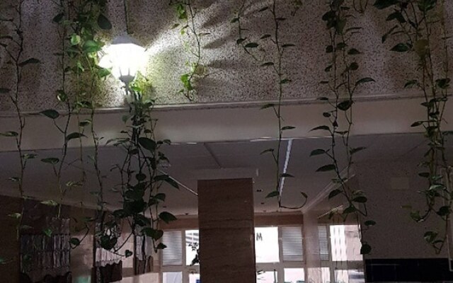 Owner Solidarity - Covid 19 Reduction of Prices