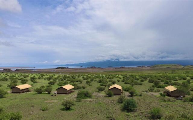 Africa Safari Lake Natron